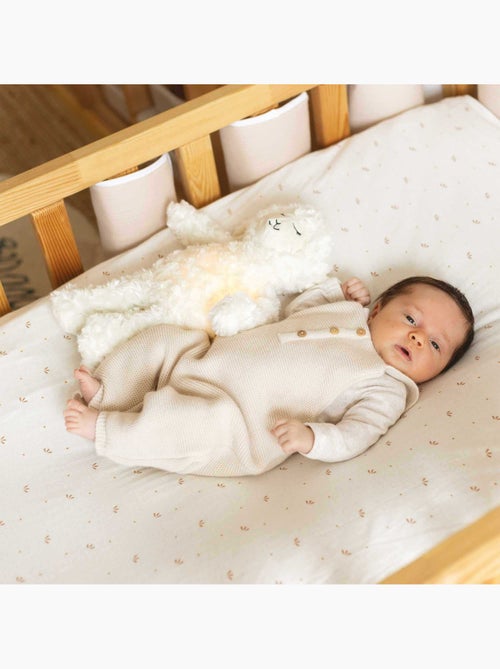 2 lenzuola con angoli per culla 50x83cm - Kiabi