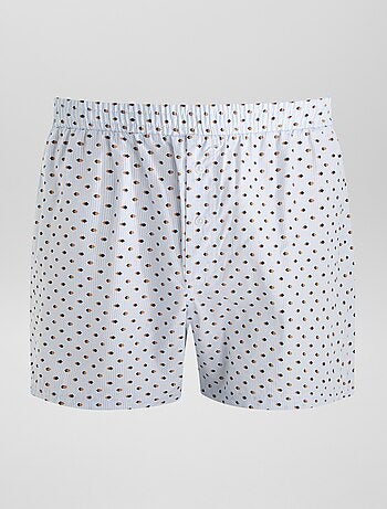 3 boxer