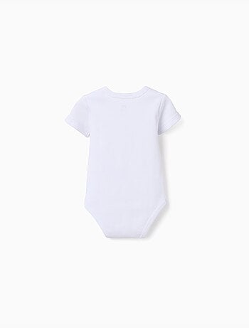 4 body in cotone con tartarughe stampate