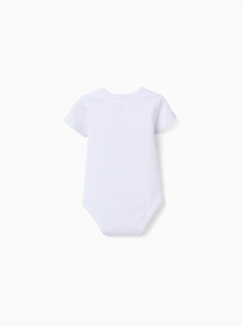 4 body in cotone con tartarughe stampate Bianco - Kiabi