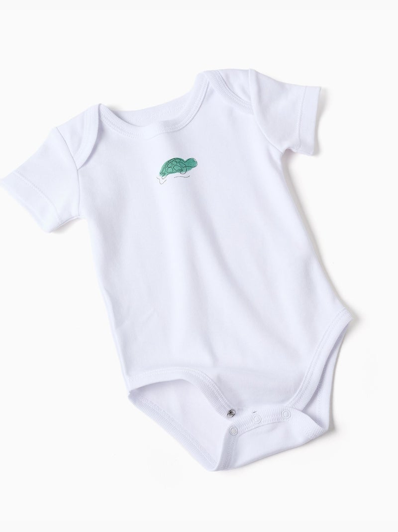 4 body in cotone con tartarughe stampate Bianco - Kiabi