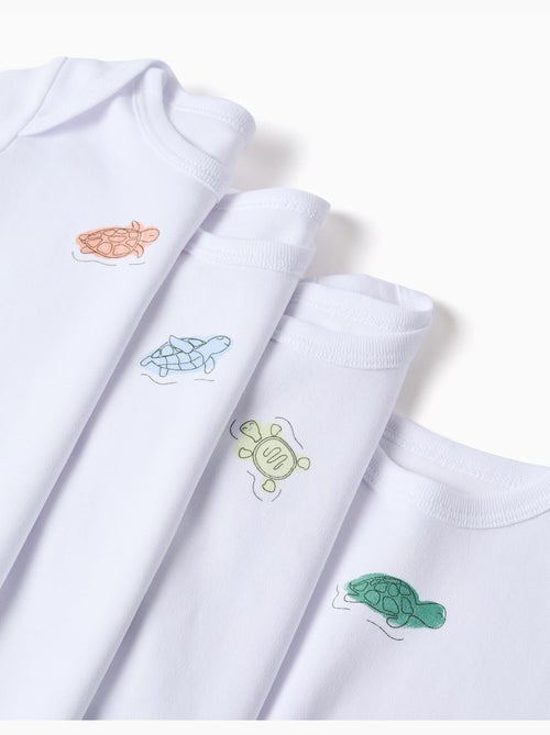 4 body in cotone con tartarughe stampate - Kiabi