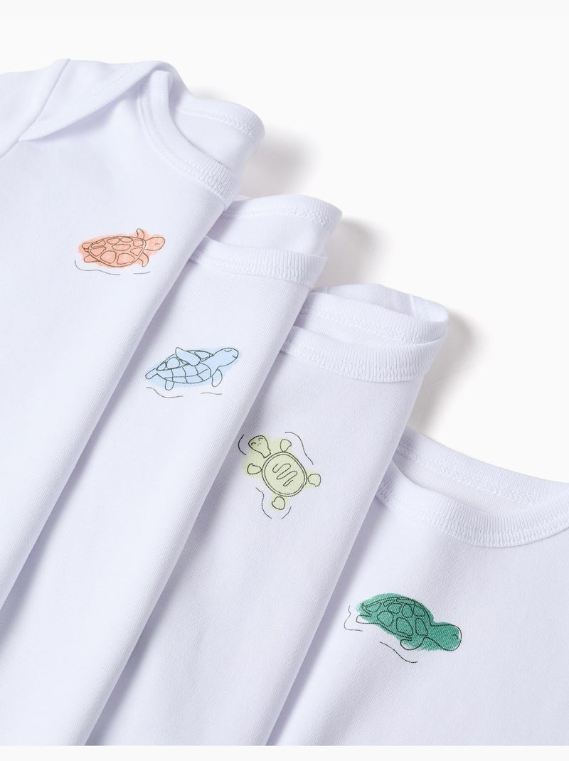 4 body in cotone con tartarughe stampate Bianco - Kiabi
