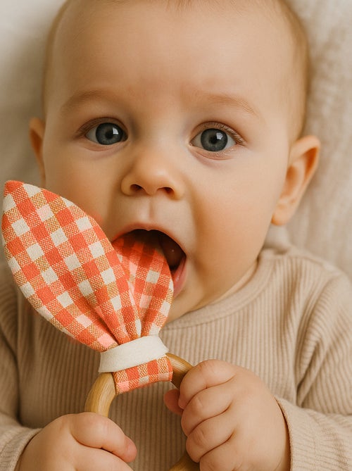 Anello da dentizione in cotone biologico - Kiabi