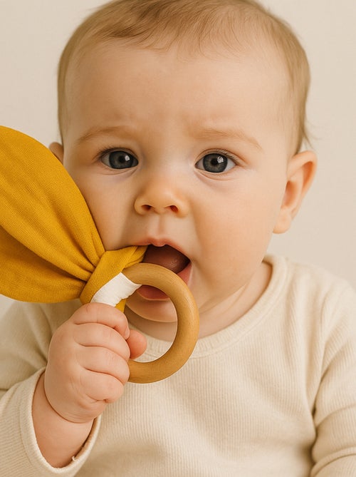 Anello da dentizione in cotone biologico - Kiabi