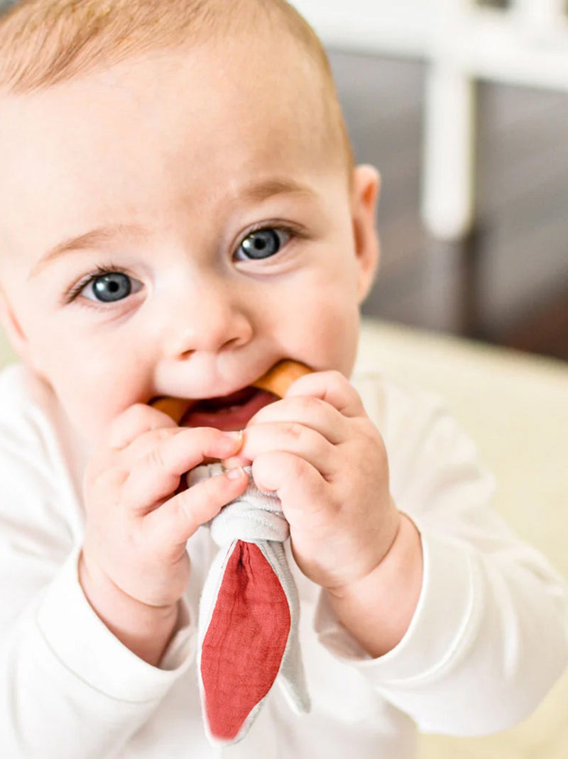 Anello da dentizione in cotone biologico Rosso - Kiabi