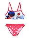     Bikini 'Miraculous' vista 1
