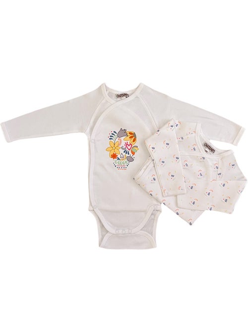 Body x2 a maniche lunghe per neonati Les Chatounets "MEXICO" - Kiabi Body x2 a maniche lunghe per neonati Les Chatounets "MEXICO" - Kiabi
