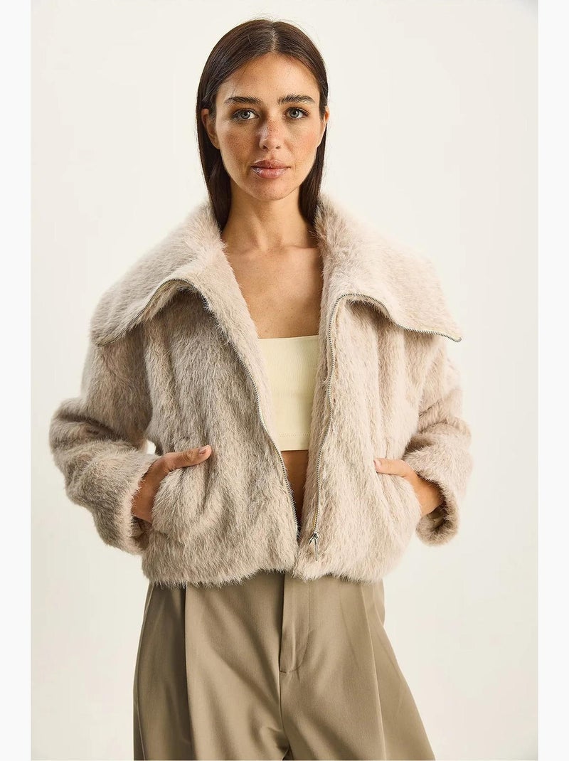 Bomber in peluche testurizzato con chiusura a zip lucci Beige argilla - Kiabi