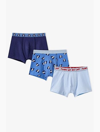 Boxer bambino paws for joy penti