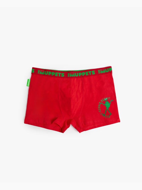 Boxer da uomo DISNEY Kermit in confezione regalo - Kiabi