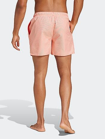 Boxer mare 'adidas'