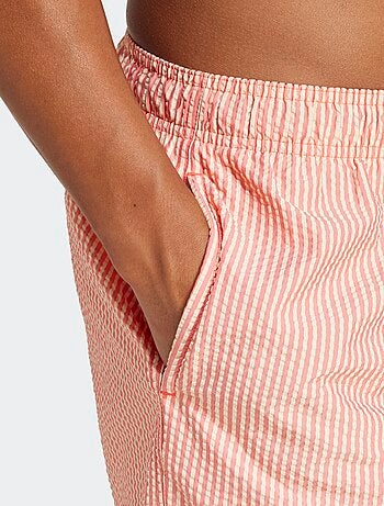 Boxer mare 'adidas'