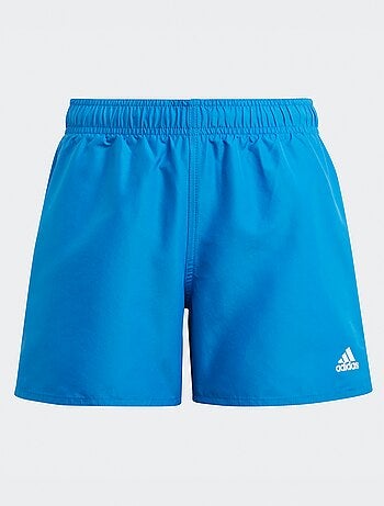 Boxer mare 'Adidas'
