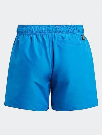 Boxer mare 'Adidas'