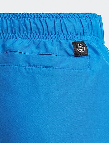 Boxer mare 'Adidas'