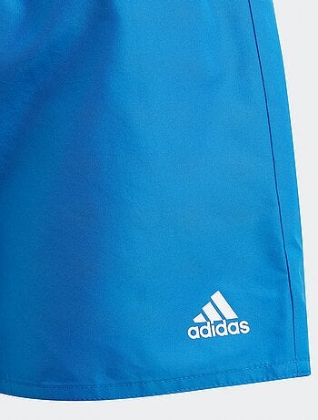 Boxer mare 'Adidas'