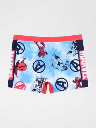 Boxer mare 'Avengers'