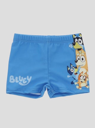 Boxer mare 'Bluey'
