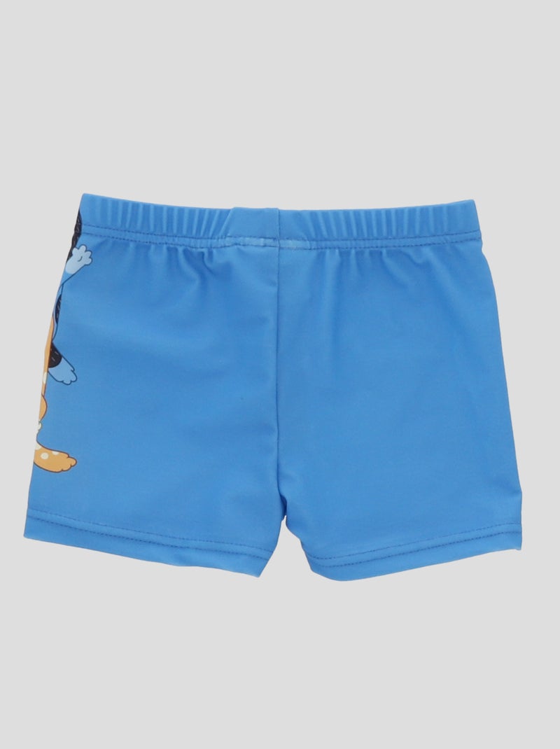 Boxer mare 'Bluey' BLU - Kiabi