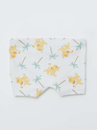 Boxer mare 'Disney'