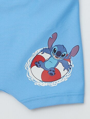 Boxer mare 'Disney'