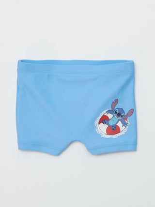 Boxer mare 'Disney'