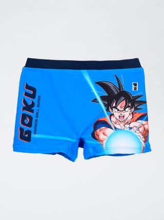Boxer mare 'Dragon ball Z'