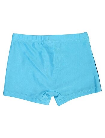 Boxer mare Lilo & Stitch