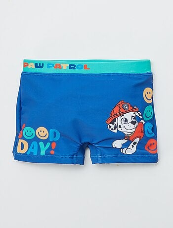 Boxer mare 'Paw Patrol'