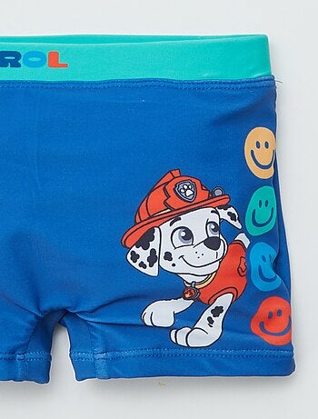 Boxer mare 'Paw Patrol'