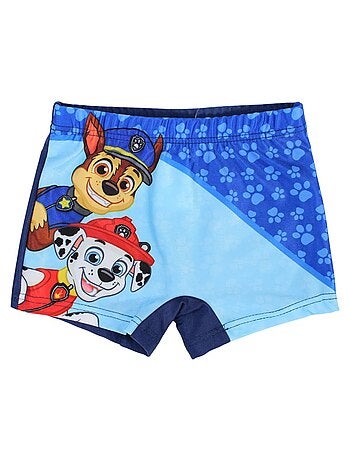 Boxer mare Paw Patrol