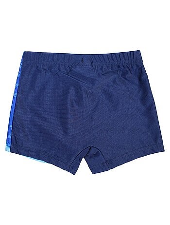 Boxer mare Paw Patrol