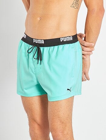Boxer mare 'Puma'