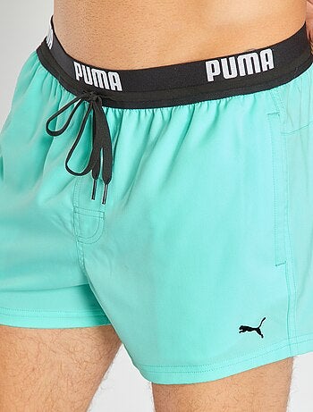 Boxer mare 'Puma'