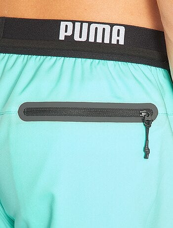 Boxer mare 'Puma'