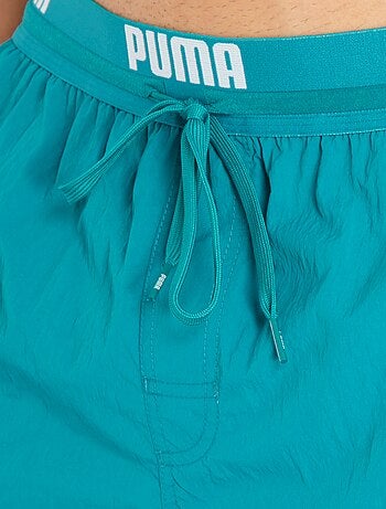 Boxer mare 'PUMA'