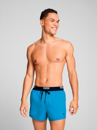 Boxer mare 'Puma'
