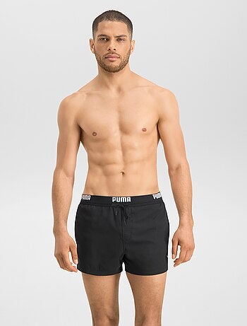 Boxer mare 'Puma'