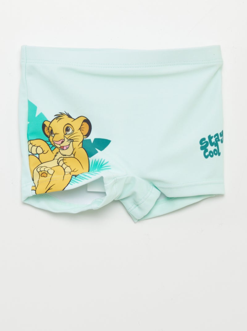 Boxer Mare Colmar, Verde, Taglia 50, Materiale 91% Poliestere 9% Elastan, Per Primavera/estate