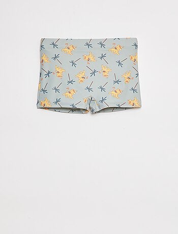 Boxer mare 'Simba'