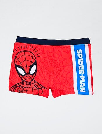 Boxer mare 'Spiderman'