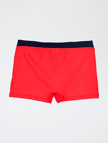 Boxer mare 'Spiderman'