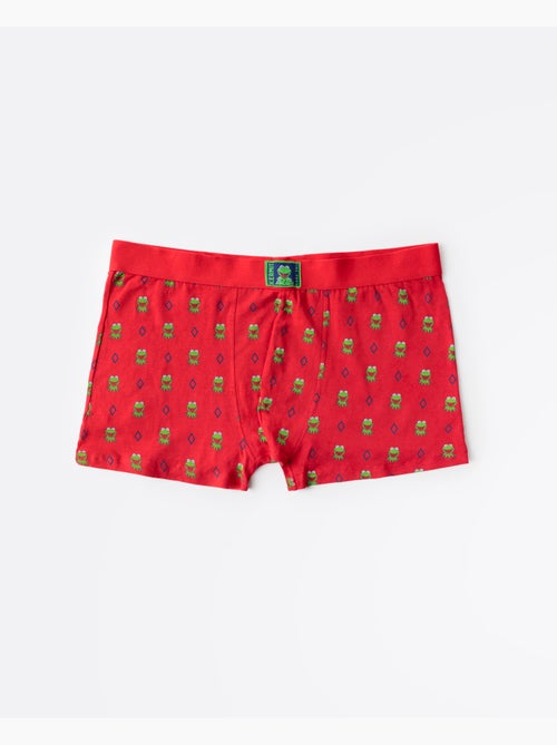 Boxer/intimo DISNEY Kermit Face in scatola di metallo, regalo per uomo - Kiabi Boxer/intimo DISNEY Kermit Face in scatola di metallo, regalo per uomo - Kiabi