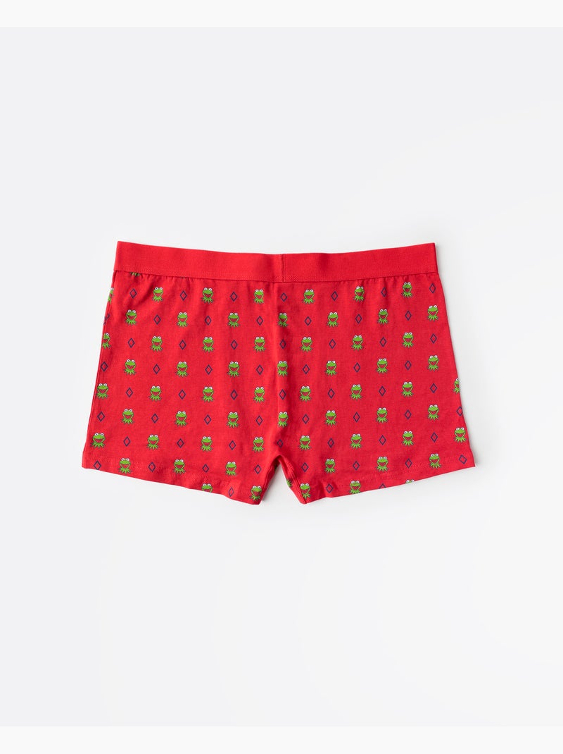 Boxer/intimo DISNEY Kermit Face in scatola di metallo, regalo per uomo Rosso - Kiabi