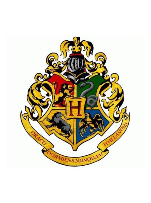 Calzini Bambino Licenza CONFEZIONE DA 12 PAIA HARRY POTTER - Kiabi