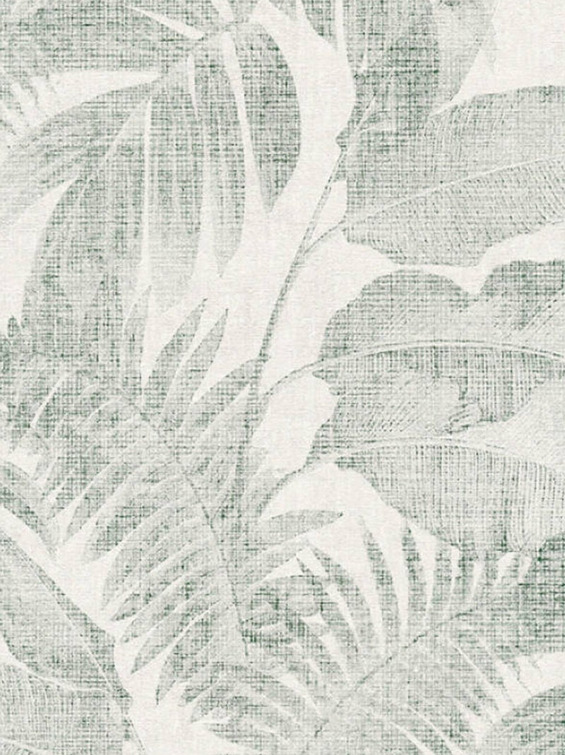 Carta da parati della giungla tropicale Verde - Kiabi