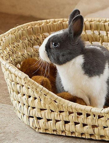 Cestino in vimini per cani di piccola taglia