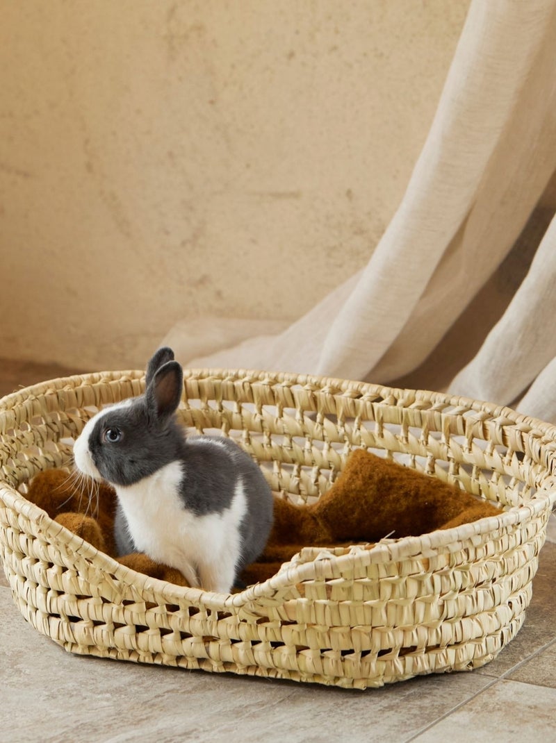 Cestino in vimini per cani di piccola taglia Legno naturale - Kiabi