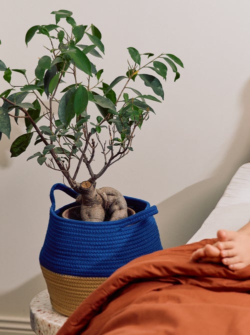 Cestino portaoggetti piccolo - Kiabi